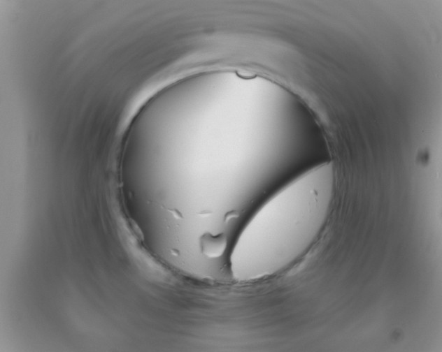 X0000091341530200709071208