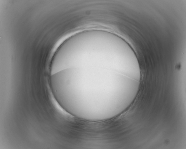 X0000091341531200709071208