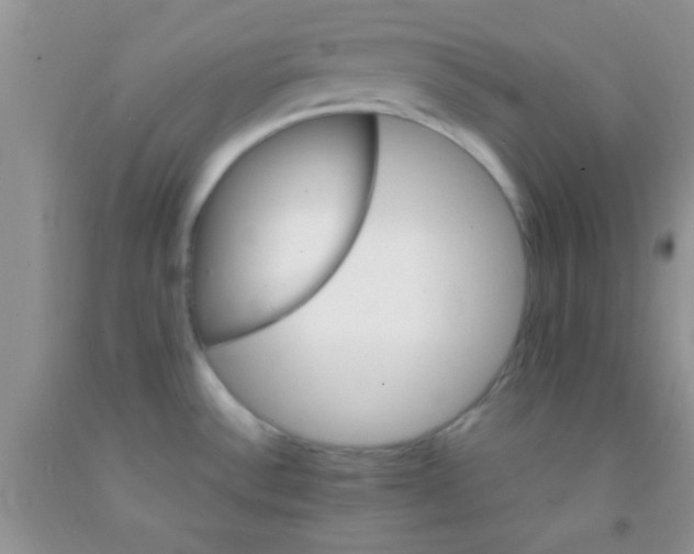 X0000091341532200709071208