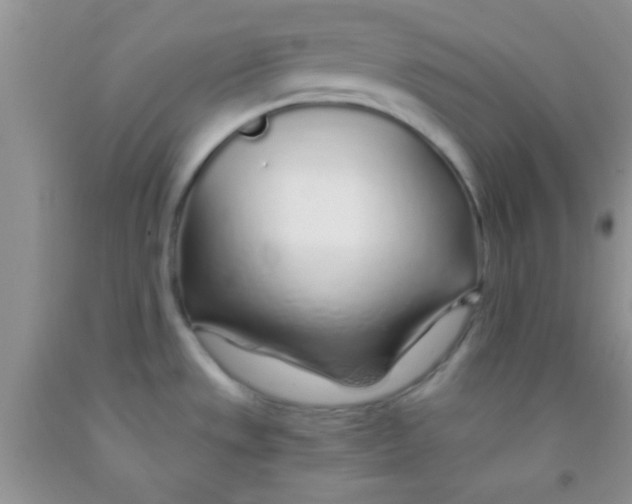 X0000091341533200709071208