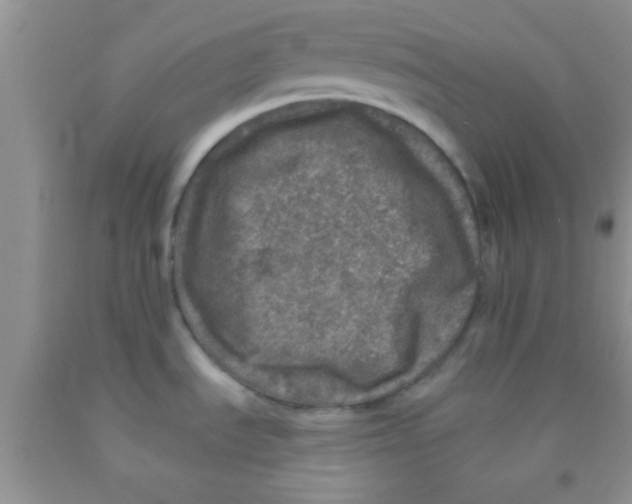 X0000091341535200709071208