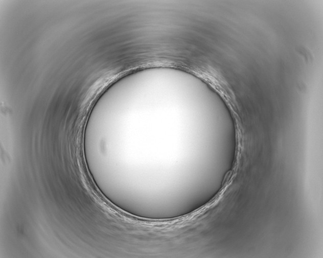 X0000091350001200708101045