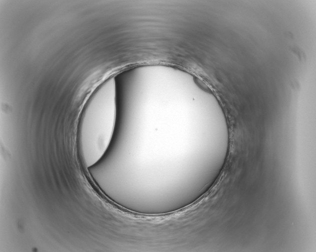 X0000091350002200708101045