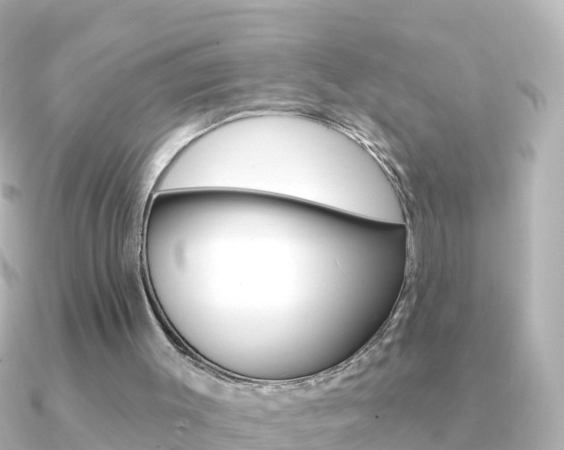 X0000091350003200708101045