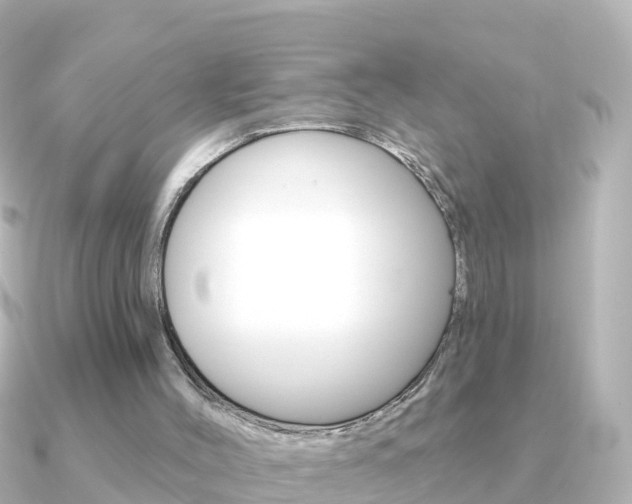 X0000091350004200708101045