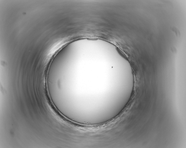 X0000091350005200708101045