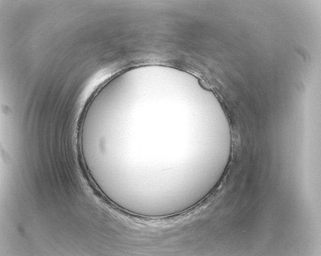 X0000091350006200708101045