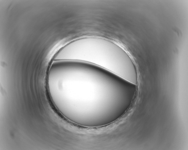 X0000091350007200708101045
