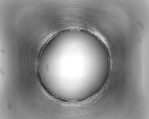 X0000091350009200708101045