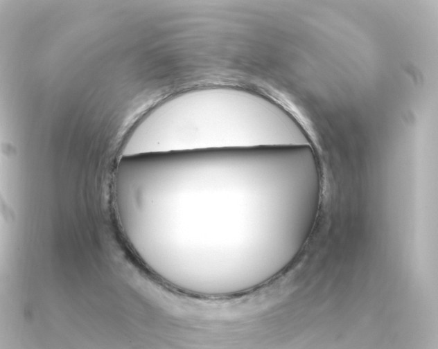 X0000091350010200708101045