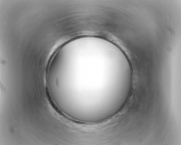 X0000091350011200708101045