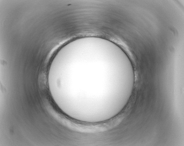 X0000091350012200708101045