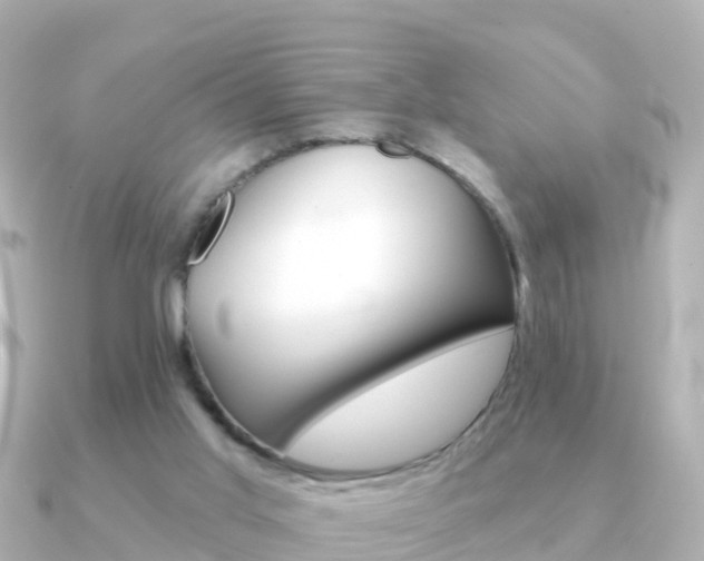 X0000091350013200708101045
