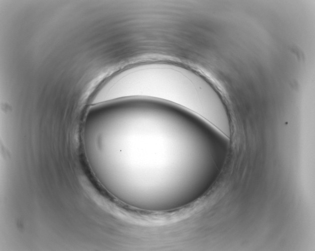 X0000091350015200708101045