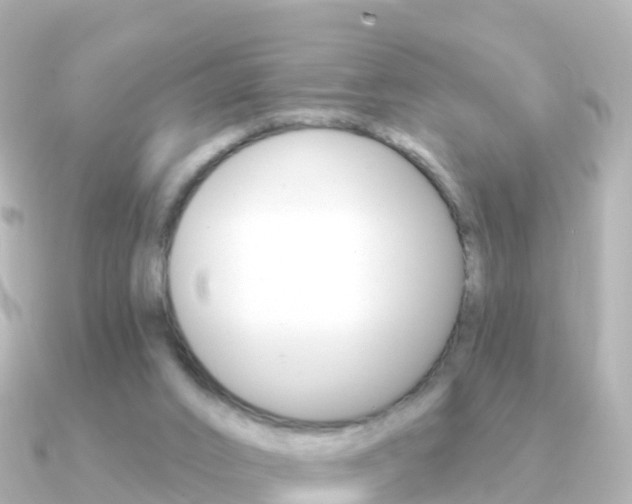 X0000091350016200708101045