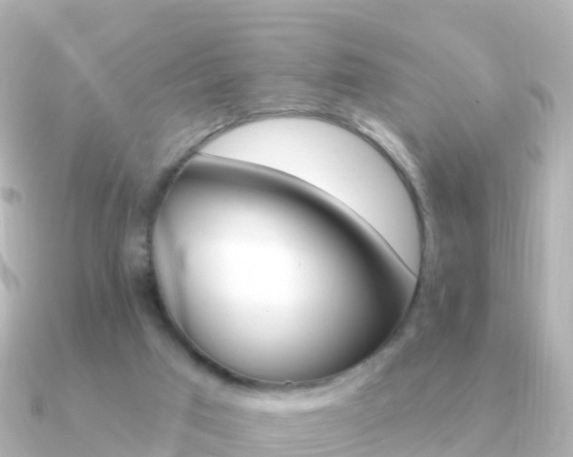 X0000091350017200708101045