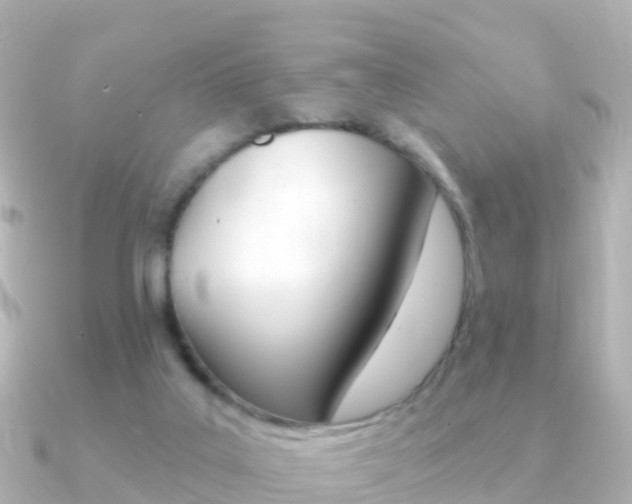 X0000091350019200708101045