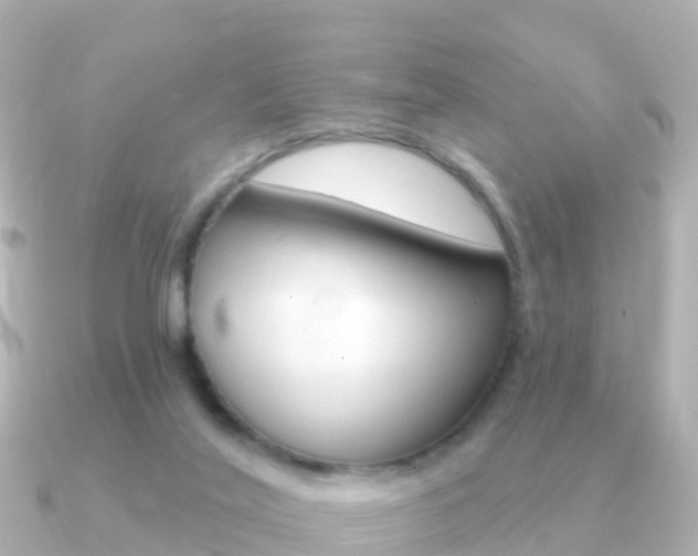 X0000091350020200708101045