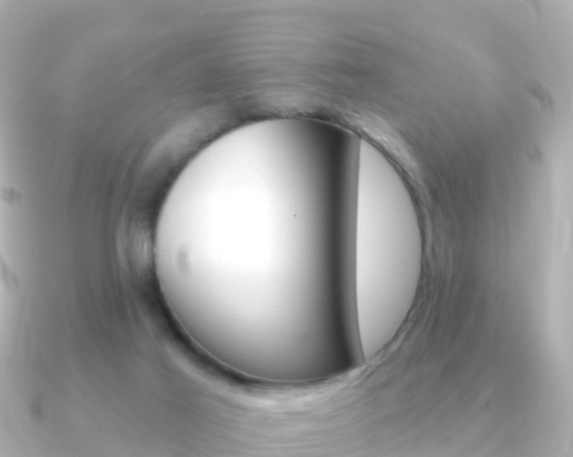 X0000091350021200708101045