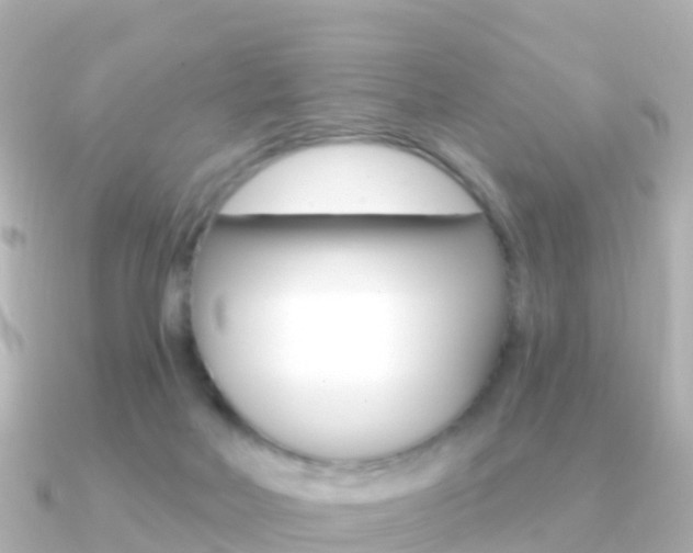 X0000091350026200708101045