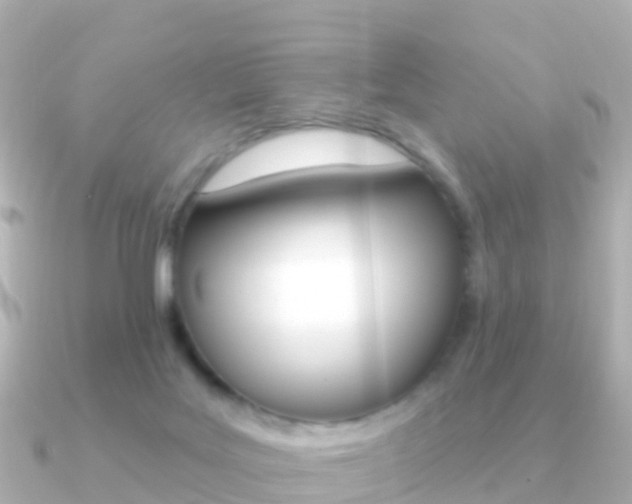 X0000091350027200708101045