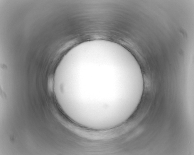 X0000091350028200708101045