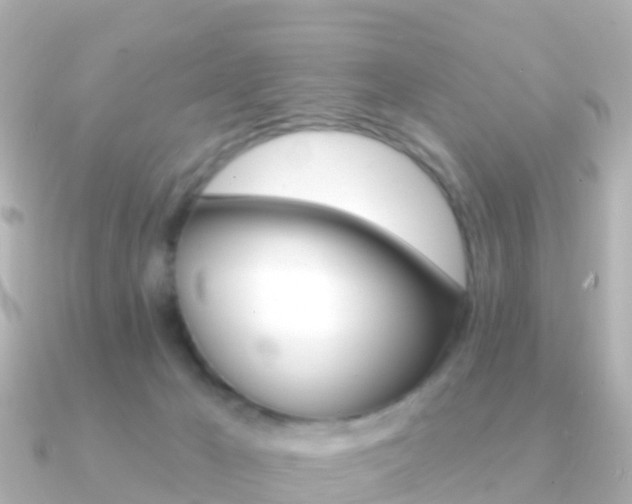 X0000091350029200708101045