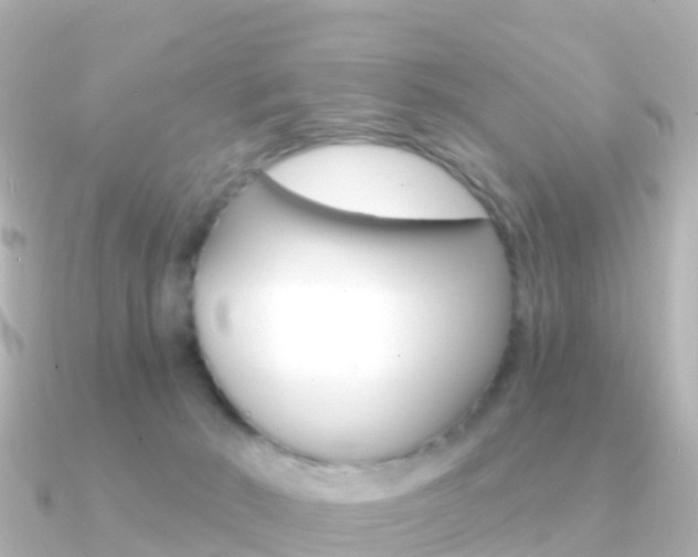 X0000091350030200708101045