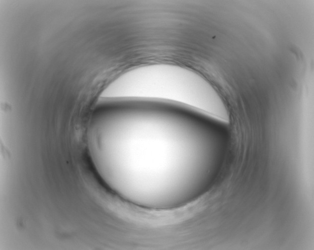 X0000091350031200708101045