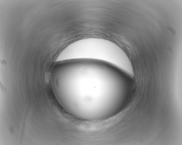 X0000091350033200708101045