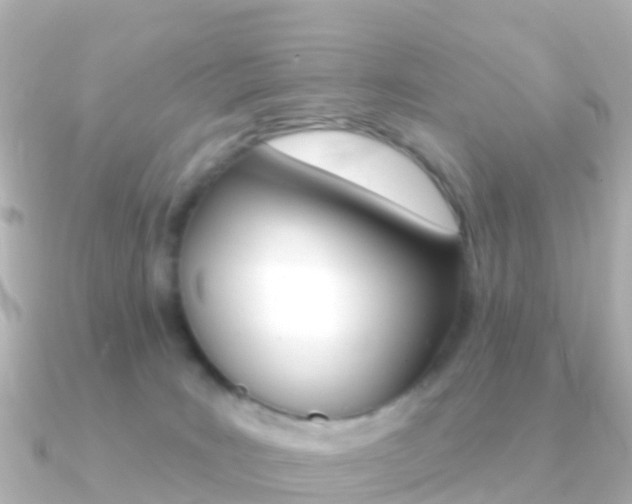 X0000091350035200708101045