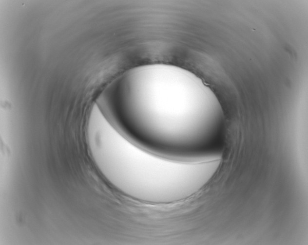X0000091350039200708101045