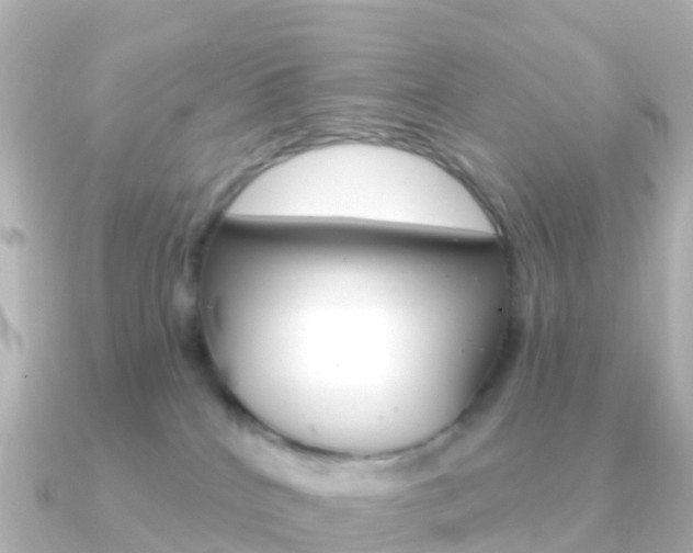 X0000091350040200708101045