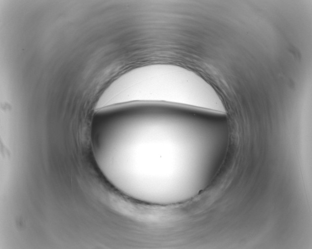 X0000091350044200708101045