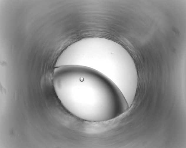 X0000091350045200708101045