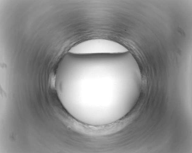 X0000091350046200708101045