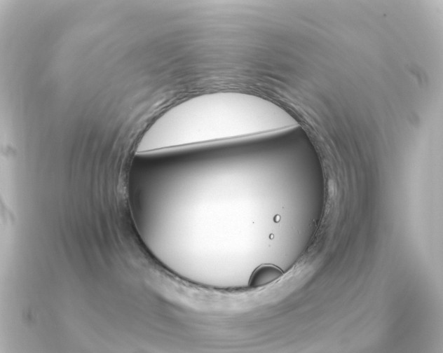 X0000091350048200708101045