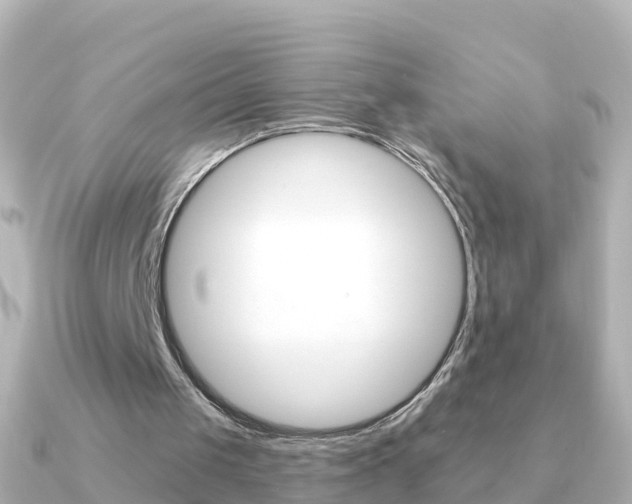 X0000091350049200708101044