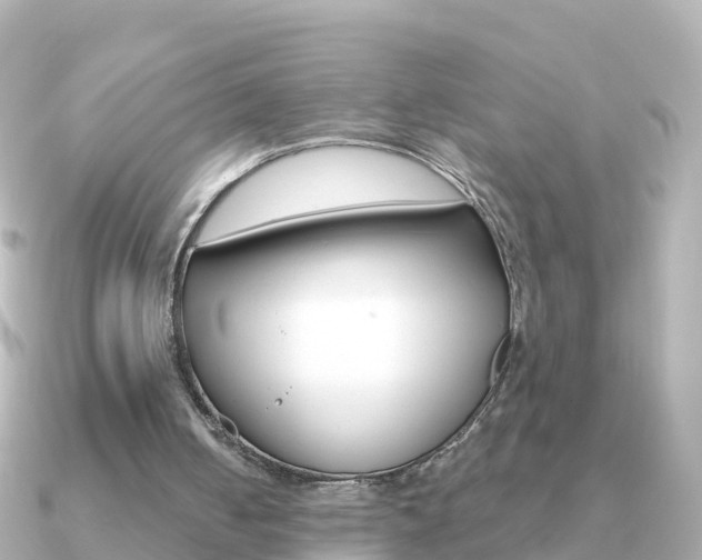 X0000091350050200708101044