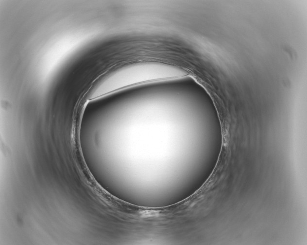 X0000091350052200708101044