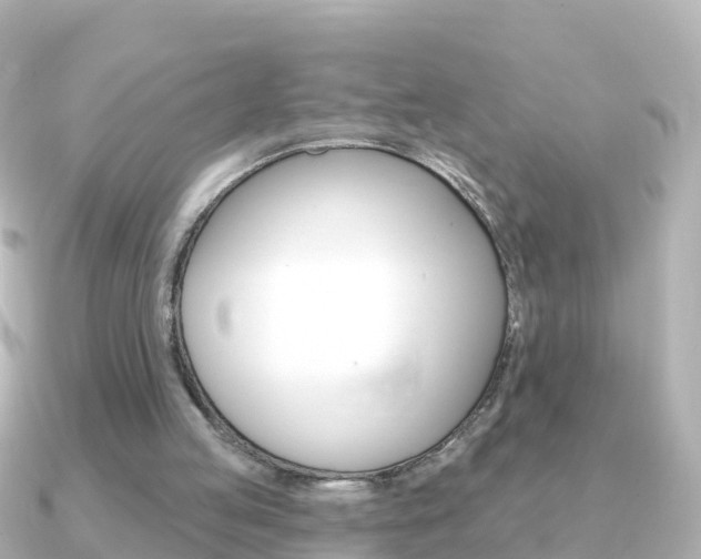 X0000091350053200708101044