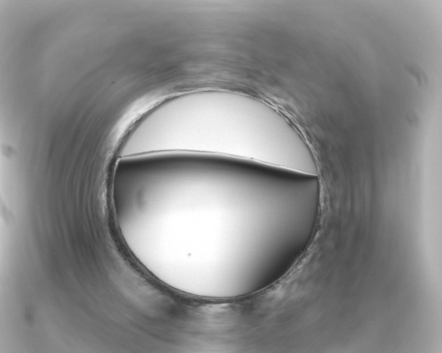 X0000091350054200708101044