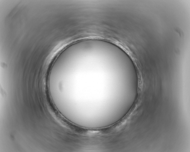 X0000091350055200708101044