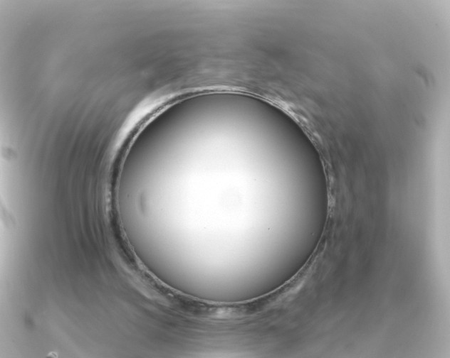 X0000091350056200708101044