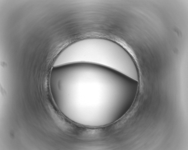 X0000091350057200708101044