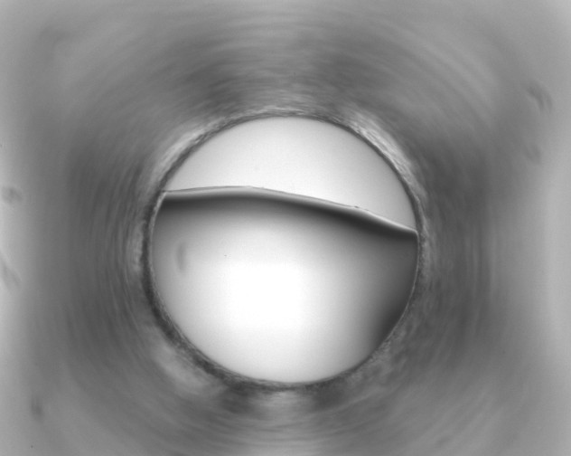 X0000091350058200708101044