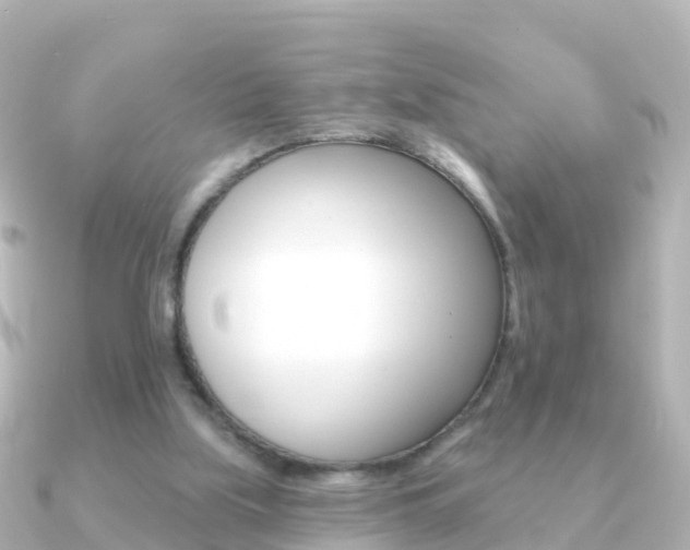 X0000091350059200708101044