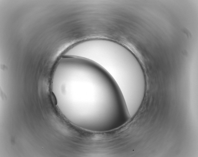 X0000091350060200708101044