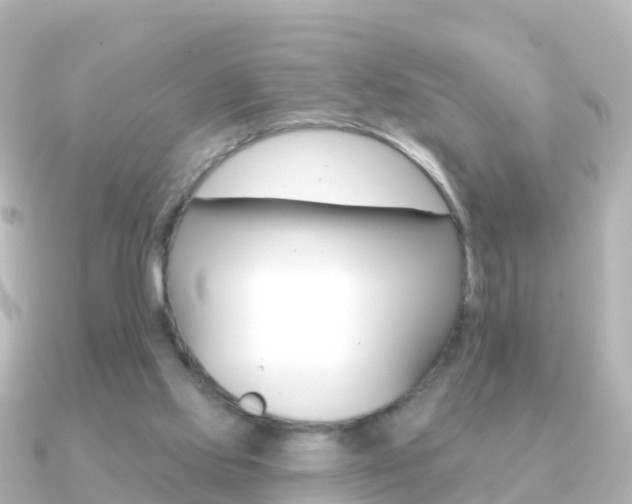 X0000091350061200708101044