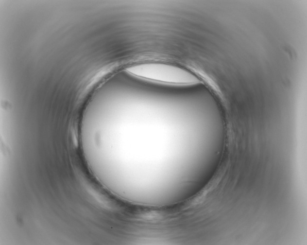 X0000091350062200708101044